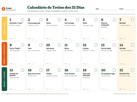 Página do Calendário de Treino dos 21 Dias