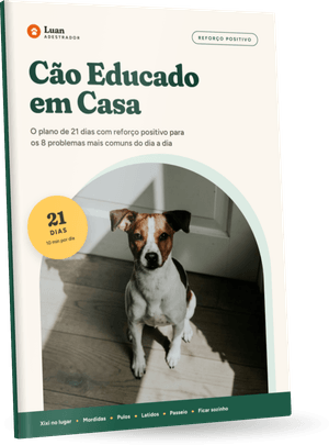E-book Cão Educado em Casa