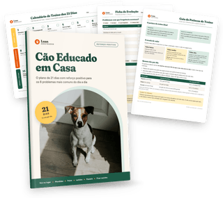 E-book Cão Educado em Casa com os três bônus para imprimir