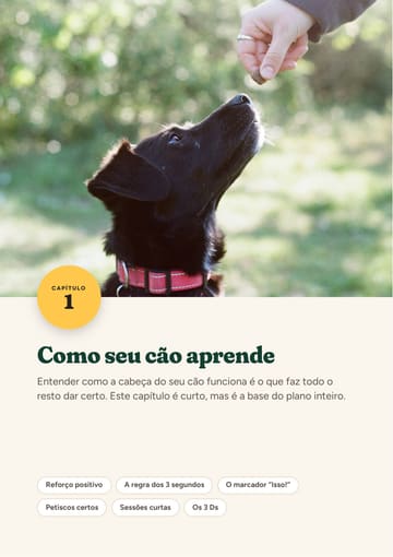Página 1 de exemplo do e-book Cão Educado em Casa
