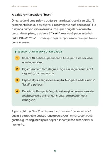 Página 2 de exemplo do e-book Cão Educado em Casa